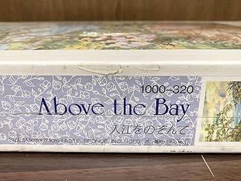 Amazon | フィルム Above the Bay 入江をのぞんで Joan Murphy